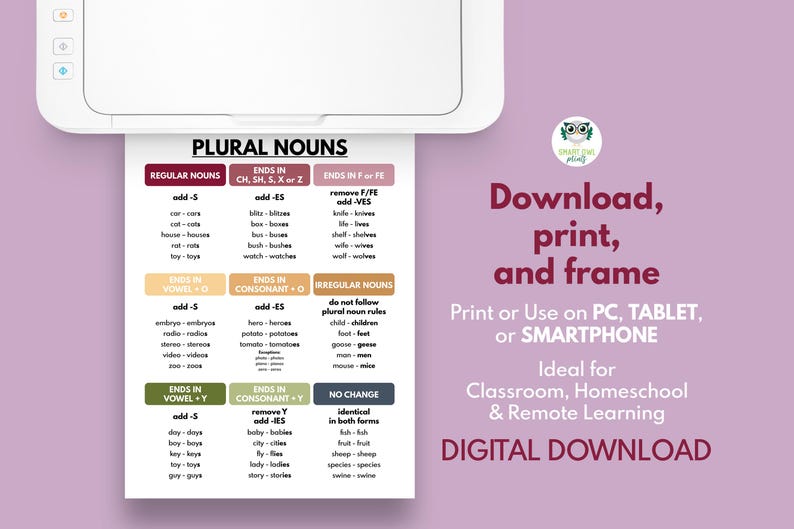 Plural Nouns Grammar Poster: Homeschool Classroom Decor (digital ...