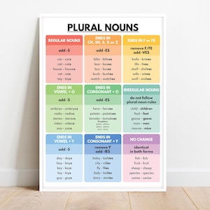 PLURAL NOUNS POSTER, Grammar Chart for Homeschool, Classroom Wall Decor, Parts of Speech, Educational poster, printable, digital download