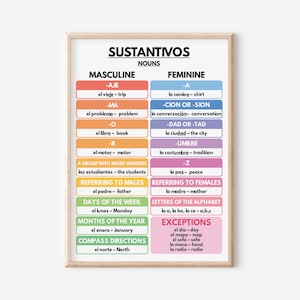 Spanish language, NOUNS POSTER, Grammar Chart, Spanish Classroom Poster, Educational poster, Digital Download