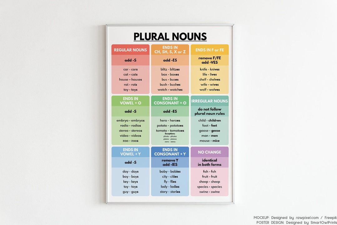 PLURAL NOUNS POSTER Grammar Chart for Homeschool Classroom Etsy