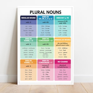 PLURAL NOUNS POSTER, Grammar Chart for Homeschool, Classroom Wall Decor, Parts of Speech, Educational poster, printable, digital download
