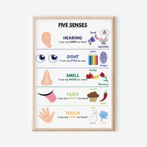Póster CINCO SENTIDOS, Pósteres educativos, Audición, Vista, Olfato, Gusto y Tacto, Arte mural para el aula, Descarga digital
