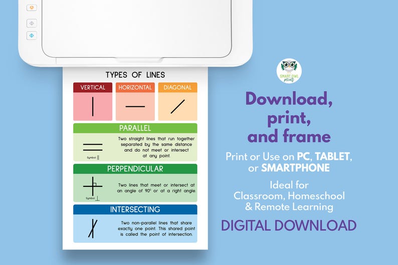 Different Lines In Math TYPES OF LINES, Geometry, Educational Poster, Math, Rainbow Colors ...