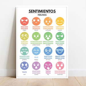 Spanish language, FEELINGS - SENTIMENTOS Poster, Basic Spanish Vocabulary, Classroom Decor, Educational Poster, digital download