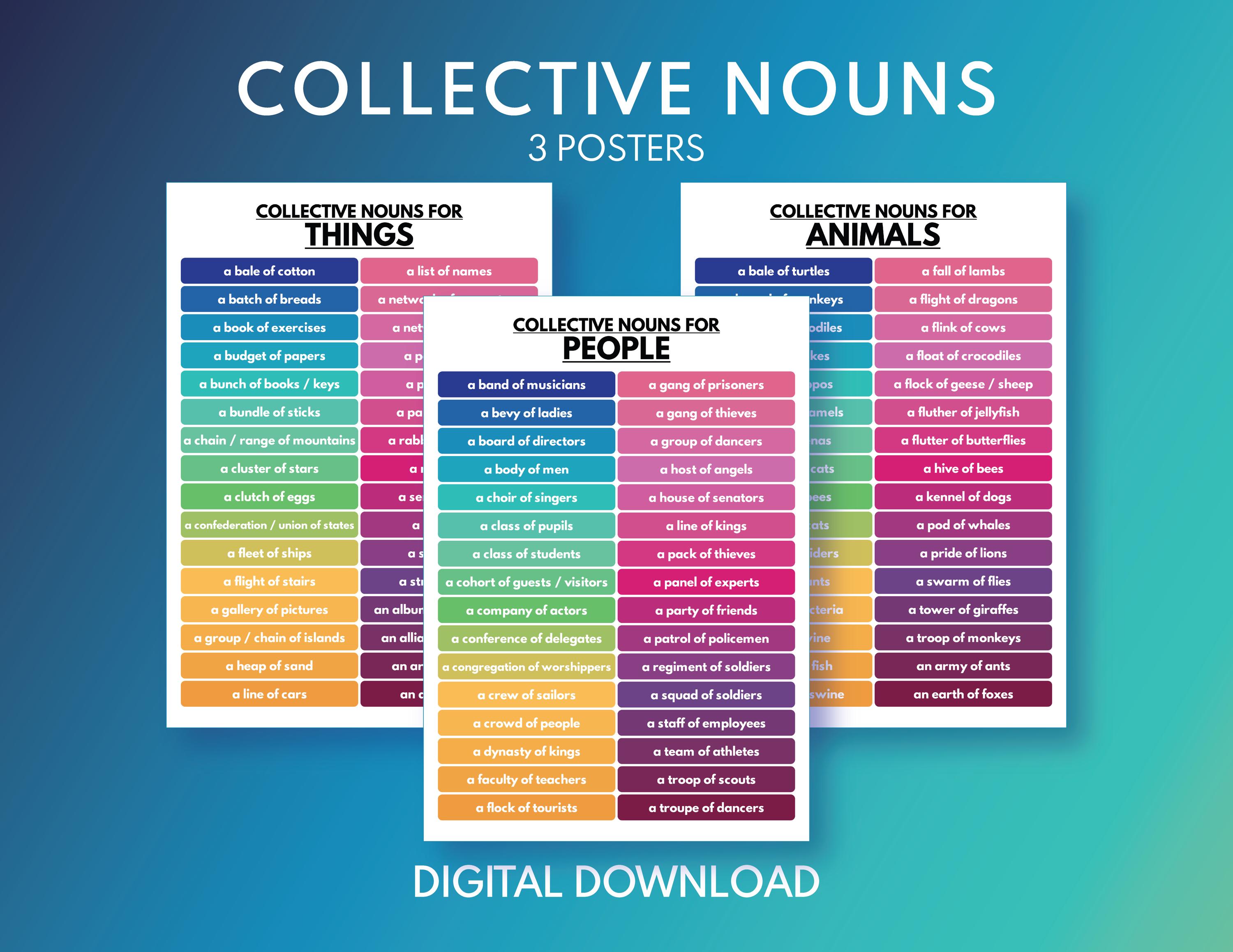 Collective Nouns Poster - Etsy, image size:3000x2317