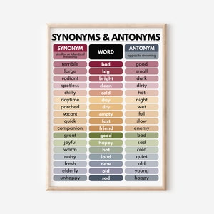 Spring Garden - Synonym and Antonym Grammar Pack