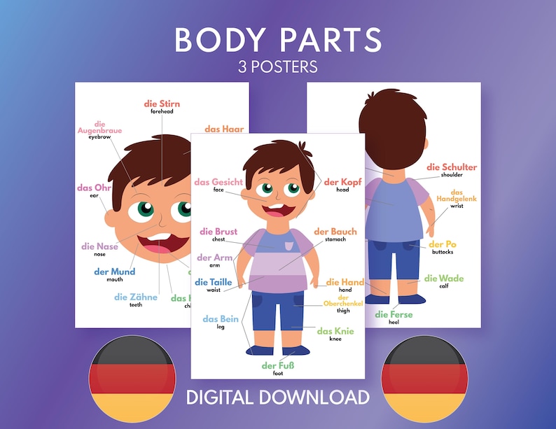 German Body Parts Poster Set, Classroom Decor (digital Download) - Etsy ...
