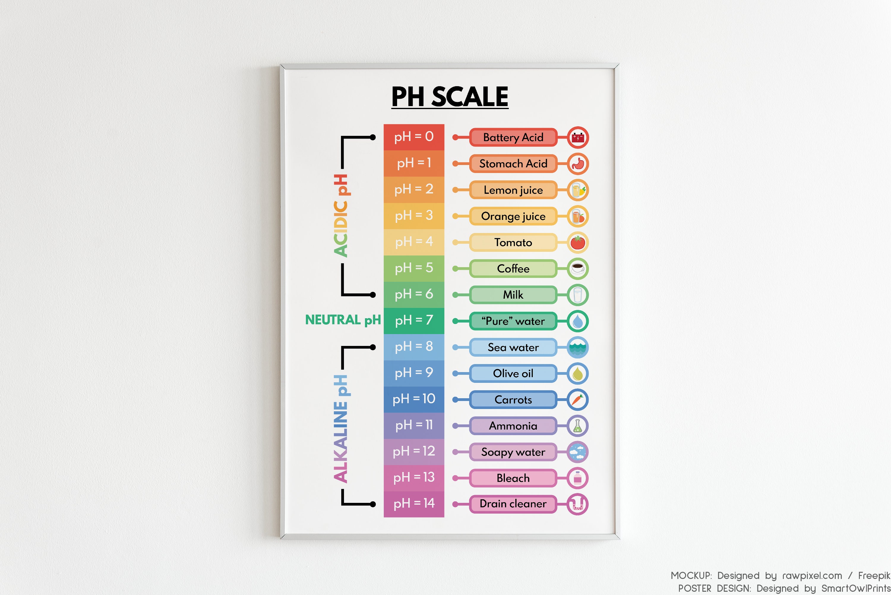 PH POSTER Educational Poster Science Poster Kids -