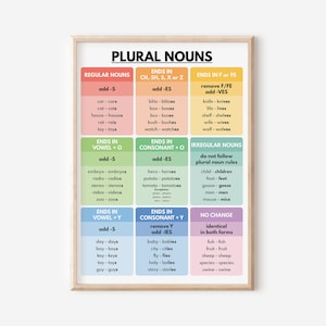 PLURAL NOUNS POSTER, Grammatik Chart für Hausschule, Klassenzimmer Wanddekoration, Redewendungen, Lernposter, druckbar, digitaler Download