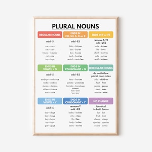 PLURAL NOUNS POSTER, Grammatik Chart für Hausschule, Klassenzimmer Wanddekoration, Redewendungen, Lernposter, druckbar, digitaler Download