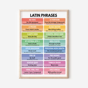 LATIN PHRASES POSTER, Vocabulary, Pastel Color Scheme, Chart for Homeschool, English Classroom Poster, Educational Poster, Digital Download