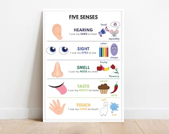 Tableau Des Sentments Zones De Régulaton Pour Les élèves, Les Ensegnants Et Les Salles De