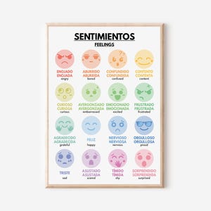 Spanish language, FEELINGS - SENTIMENTOS Poster, Basic Spanish Vocabulary, Classroom Decor, Educational Poster, digital download