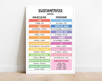 Spanish language, NOUNS POSTER, Grammar Chart, Spanish Classroom Poster, Educational poster, Digital Download