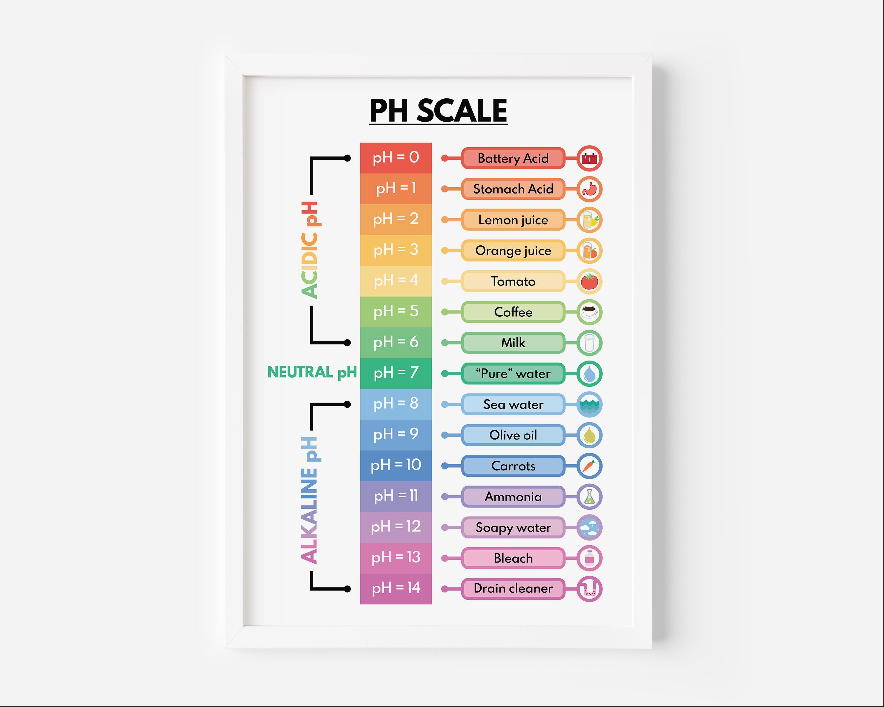 Ph Scale Science Project