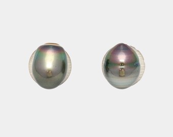 2pcs Light Green 9.9-10.4mm - CL aaa/AA Quality Tahitian Pearl PAIR ER1272