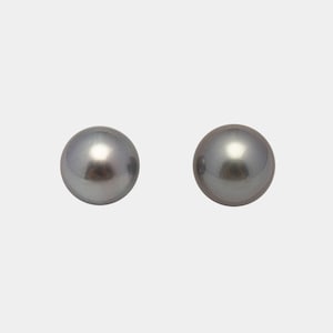 May include: Two lustrous, gray pearl stud earrings. Each earring is a perfect sphere, reflecting light with a subtle sheen. The earrings are set against a plain white background, highlighting their elegant simplicity. A classic jewelry item.