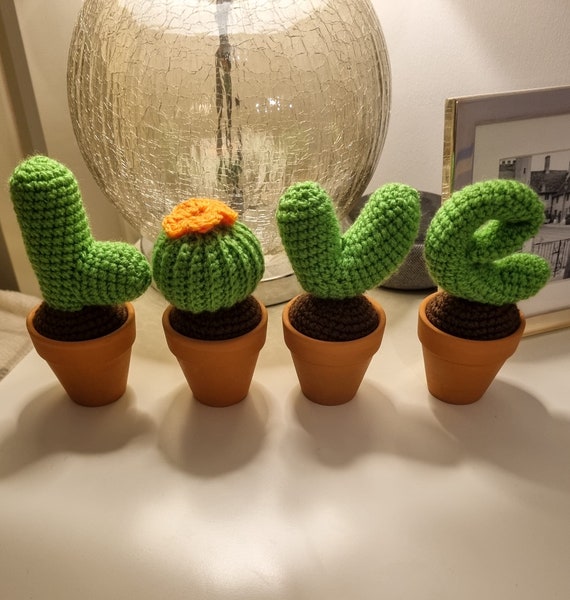 Beginner Crochet Kit, Learn Crochet Kit for Adults and Kids, 4-Pack Plant  Collection, Cactus Ornamental Plant Pot 