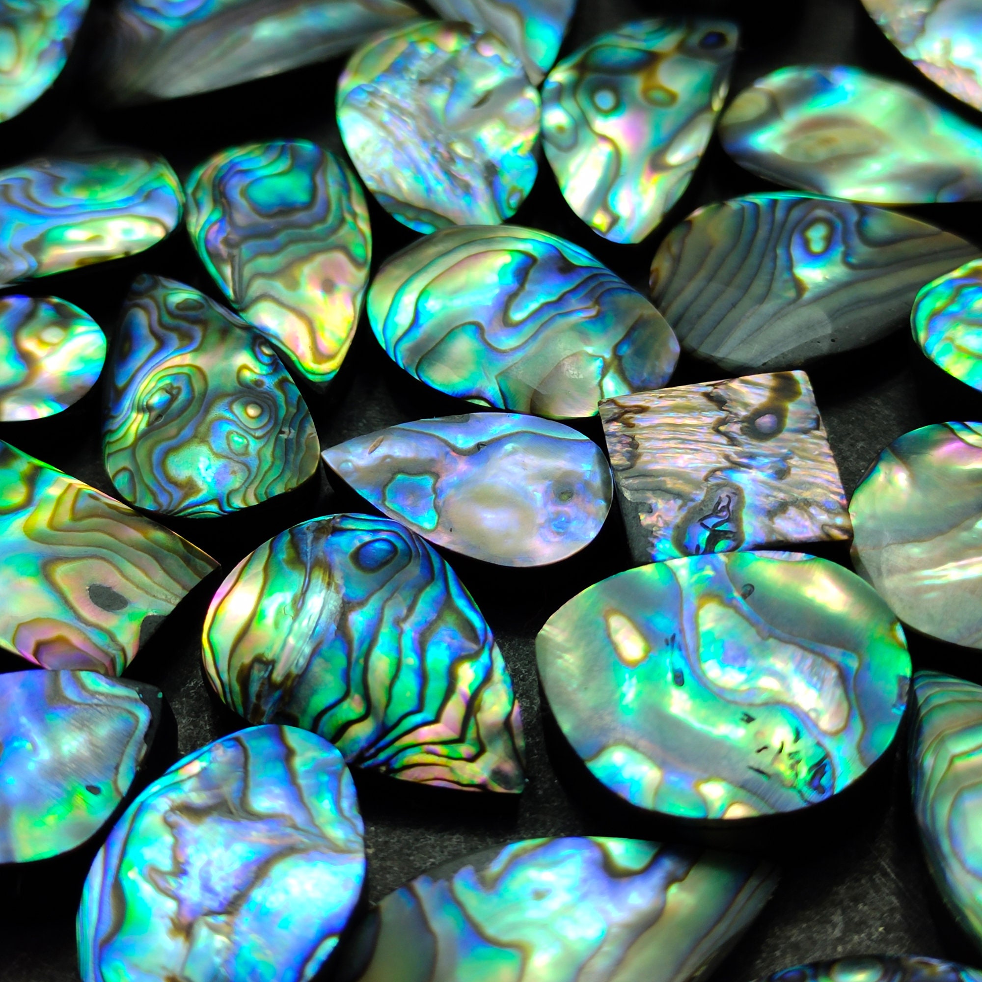 Abalone Shell Cabochon Wholesale Abalone Paua Shells Gemstone Etsy