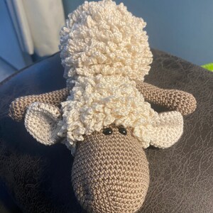 Shirley the sheep