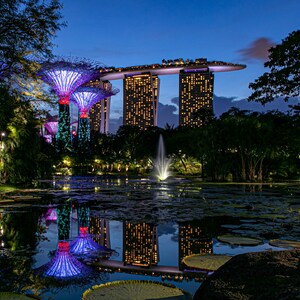 Marina Bay Sands From the Water Lily Garden, Singapore.