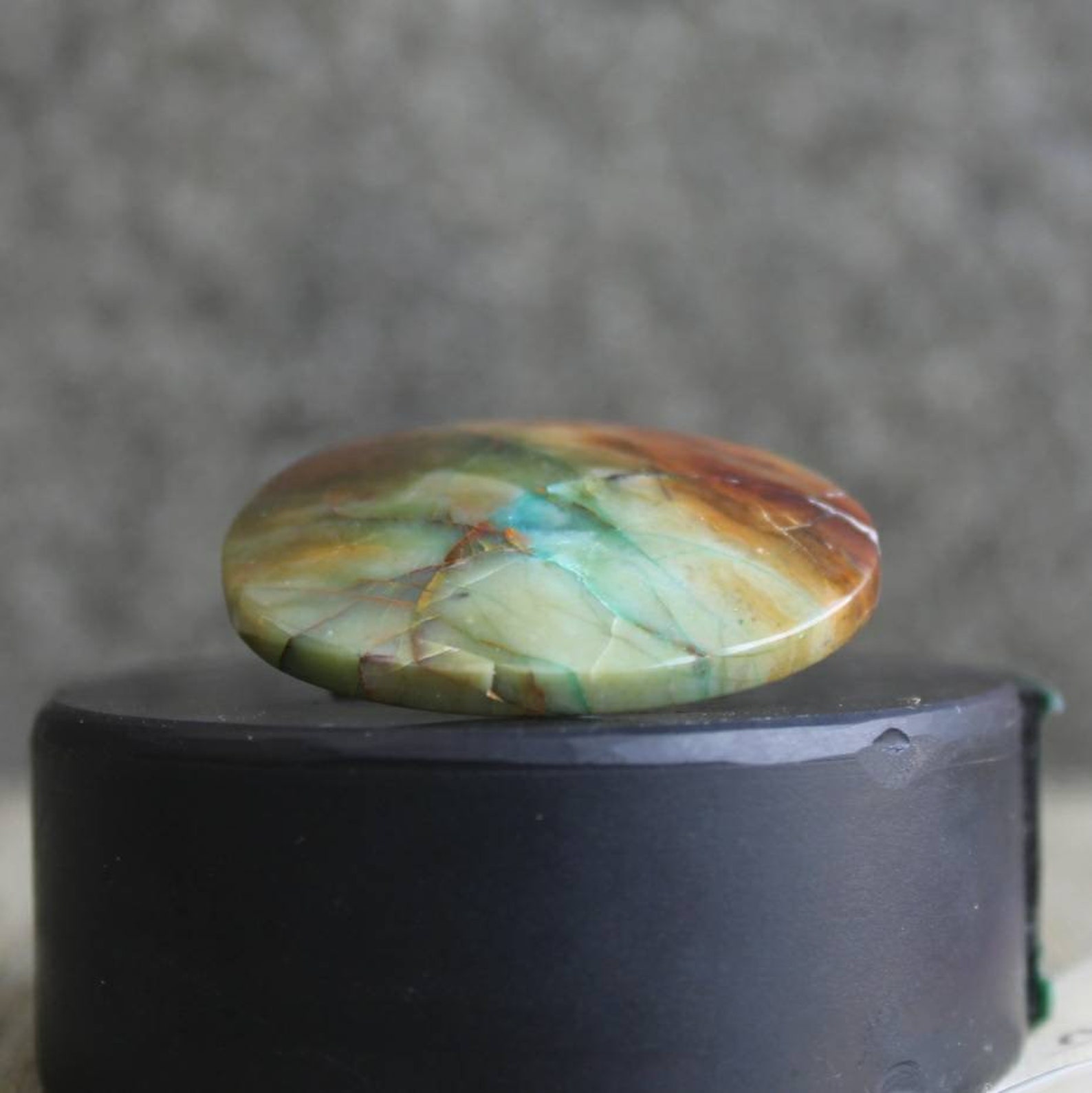 Opalized Wood Cabochon Multycolor Etsy