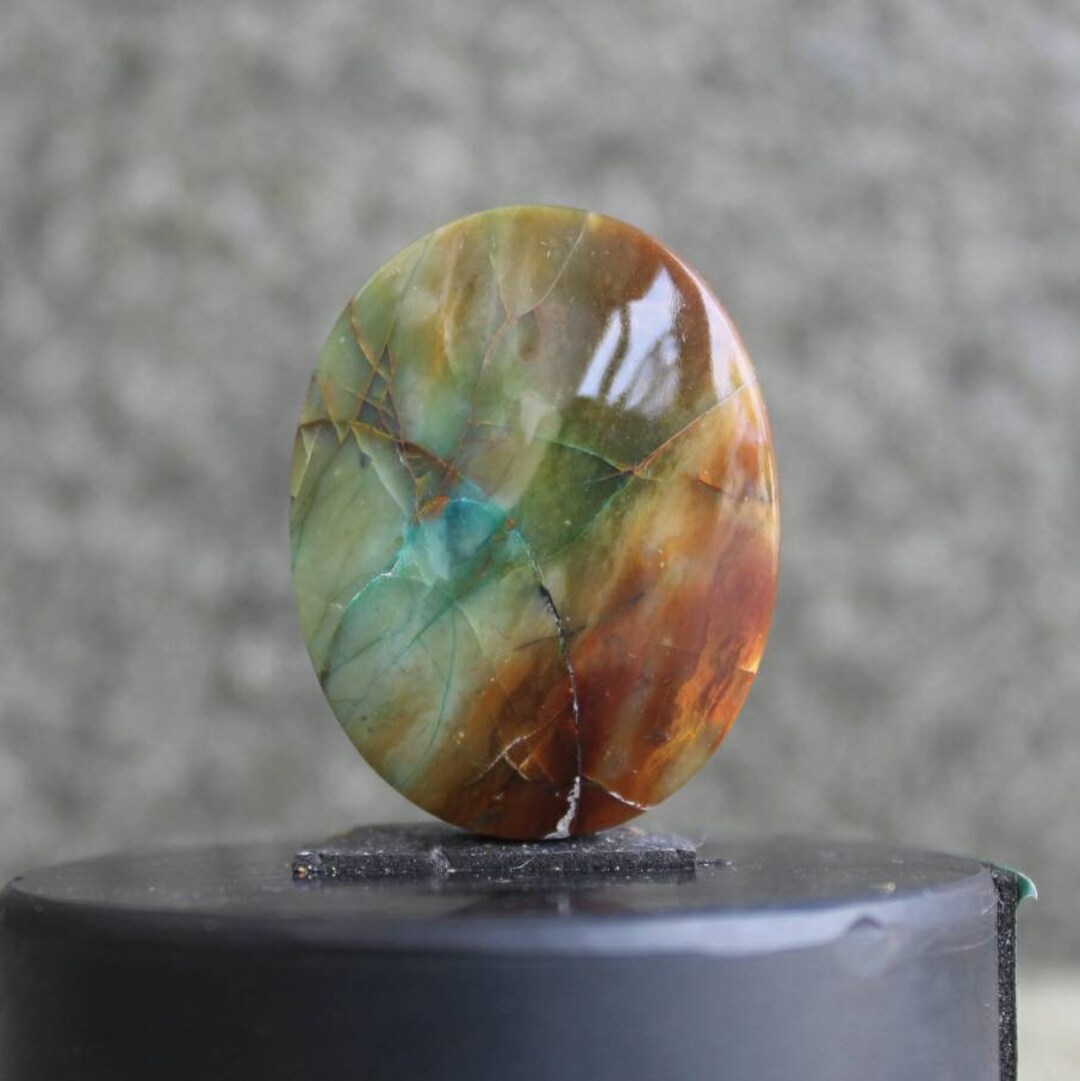 Opalized Wood Cabochon Multycolor Etsy