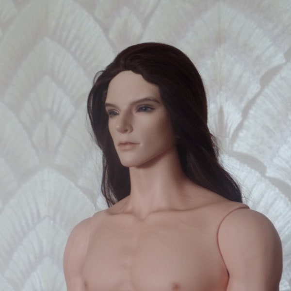 Wig for BJD Iplehouse FID_male