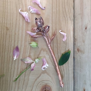 Real Aquilegia Bud Stem Electroformed in Copper - Decorative Ornament