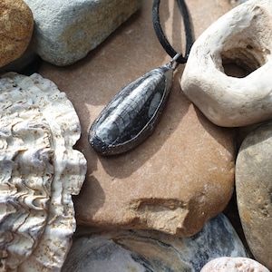 Orthoceras Pendant