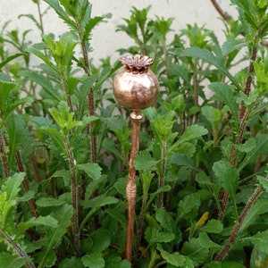 Real Poppy Sead Head Electroformed in Copper - Decorative Ornament