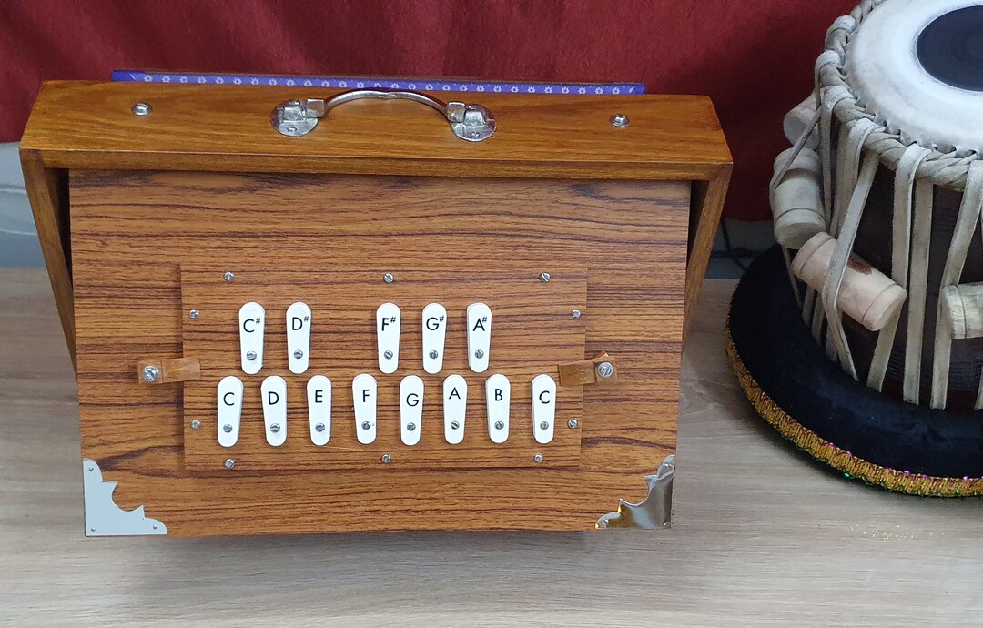 Shriji Shruti Box 15x10x3 Inches, Teak Wood and Ply, 440hz & 432hz Sur