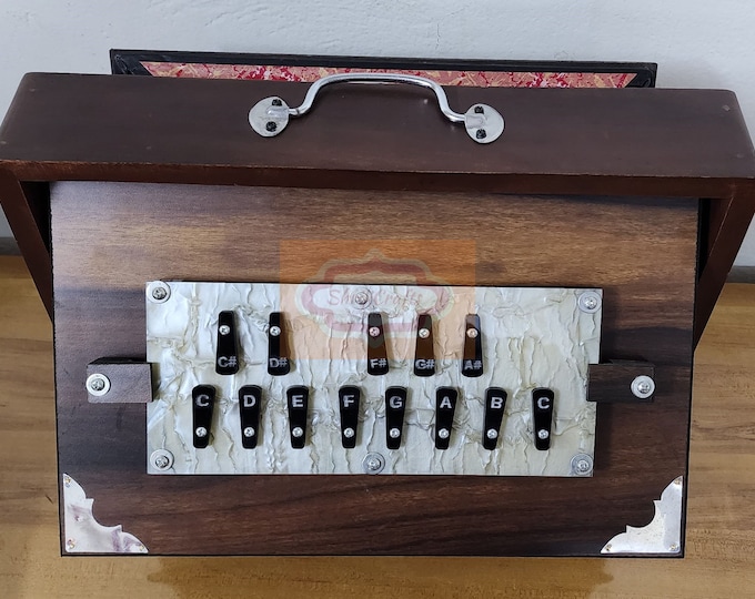 Shruti Box, Large And Small Pure Teak Wood Sur Peti With Form Bag Natural Color Musical Instrument 578301