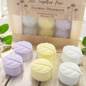 Shower Steamers Gift set, Shower Bombs, Spa Gift Box, Shower Aromatherapy Self Care
