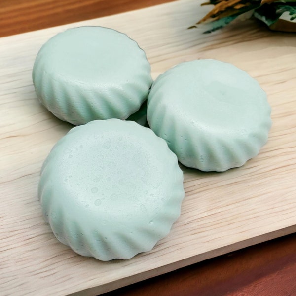 Natural Solid Conditioner Bar, Organic Self Care, Eco Friendly & Plastic Free, Vegan Hair Conditioner Bar for Oily Hair