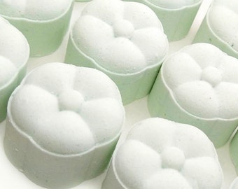 Eucalyptus Peppermint Shower Steamers: Aromatherapy Spa Gift Box