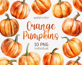 Watercolor Orange Pumpkins Clipart Thanksgiving PNG Bundle Autumn Clip Art Harvest Illustration Halloween Instant Download Commercial use