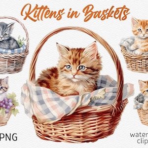 Gatitos de acuarela en cestas Clipart Pack Baby Kitten PNG paquete Kawaii Cat PNG Cute animal clip art Descarga instantánea Uso comercial