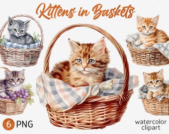 Gatitos de acuarela en cestas Clipart Pack Baby Kitten PNG paquete Kawaii Cat PNG Cute animal clip art Descarga instantánea Uso comercial