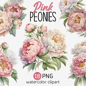 Aquarell rosa Pfingstrosen Clipart weiße Pfingstrose Bundle PNG Sublimation Blumen Clipart Blumenstrauß Hochzeitseinladung sofortiger Download Kommerziell