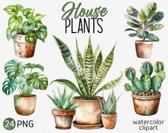 Acuarela casa plantas imágenes prediseñadas plantas en macetas PNG paquete verde Clip Art suculentas imágenes prediseñadas Cactus PNG descarga instantánea uso comercial