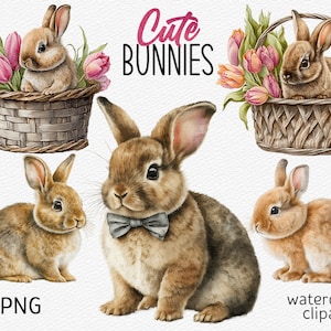 Pacchetto di clipart di coniglietto pasquale ad acquerello, clipart di Pasqua, clipart primaverile PNG, sublimazione di coniglio carino, cestino Download digitale, uso commerciale