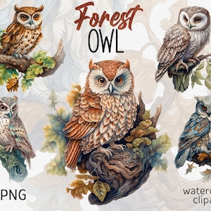 Watercolor Forest Owl clipart Owls PNG Fantasy clipart Mystical Sublimation Magic clip art Forest Animals Digital Download Commercial Use