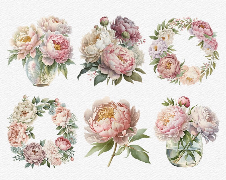 Watercolor Pink Peonies Clipart White Peony Bundle PNG Sublimation ...