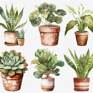 May include: Six potted plants with green leaves and brown pots. The plants include a succulent, a snake plant, a fiddle leaf fig, and a peace lily.