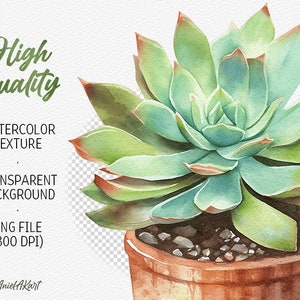 May include: Watercolor painting of a succulent plant in a terracotta pot. The plant has green leaves with a reddish hue around the edges. The pot is filled with small brown rocks.