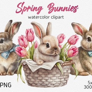 Easter Bunny Clipart, simpatico coniglietto acquerello nel cestino Pasqua PNG Baby Shower Clipart Nursery Decor Digital Download, uso commerciale