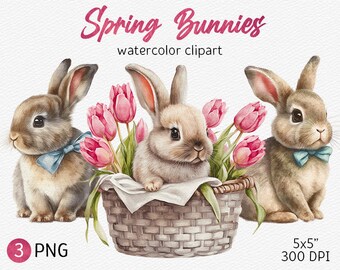 Easter Bunny Clipart, Cute Watercolor Baby Rabbit in basket Easter PNG Baby Shower Clipart Nursery Decor Digital Download, Commercial Use