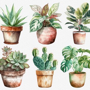 May include: Six different potted plants with various green foliage, including succulents, cacti, and leafy plants. The pots are all terracotta and have a rustic, hand-painted look.