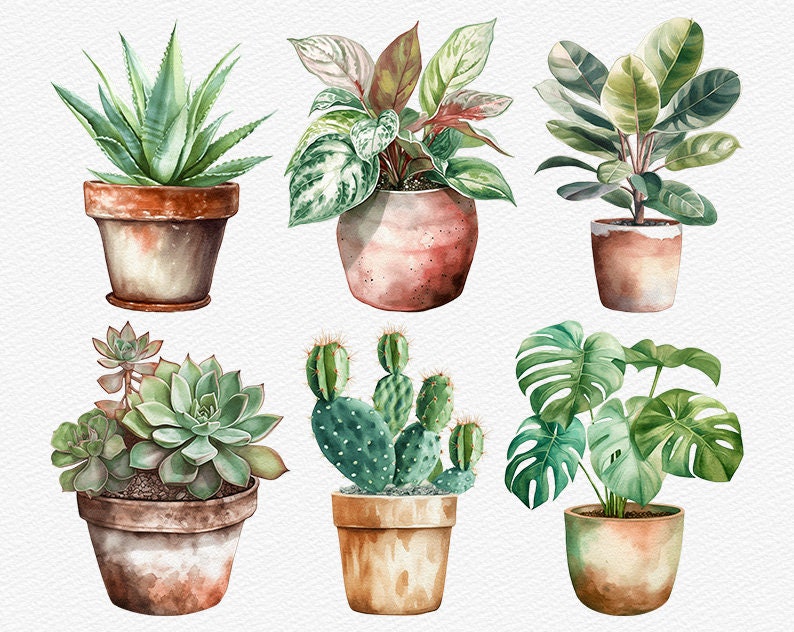 May include: Six different potted plants with various green foliage, including succulents, cacti, and leafy plants. The pots are all terracotta and have a rustic, hand-painted look.